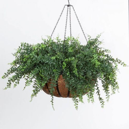 Schmiedeeisen-Pflanzgefäß - BUCKLER FERN - PLANTERS UNLIMITED - Glasfaser / hängend / rund