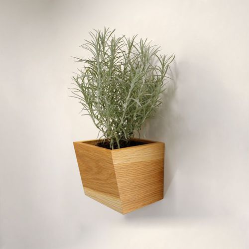 Eiche-Pflanzgefäß - W • oblique - 3S design - wandmontiert / quadratisch / für Privatgebrauch
