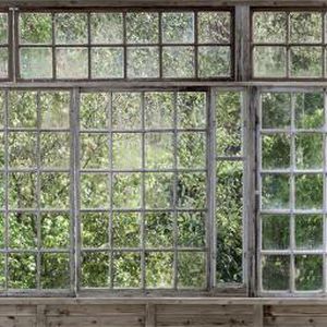 Moderne Tapete - GREENHOUSE - Mr Perswall - Naturmotiv / mehrfarbig / bedruckt
