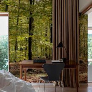 Tapete / originelles Design - AUTUM FOREST - Mr Perswall - Naturmotiv / Tapetenoptik / grün