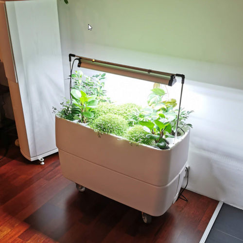 Kit für begrünte Mauer / mit integrierter Bewässerung - HYDROPONIC - Supragarden