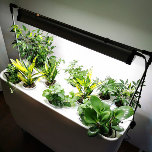 Pflanzenleuchte - GROW LIGHT - Supragarden - hängend / Aufbau / LED