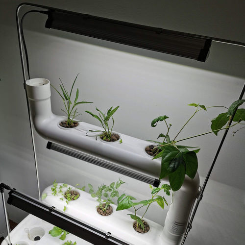 Pflanzenleuchte - GROW LIGHT 6400K - Supragarden - hängend / Aufbau / LED