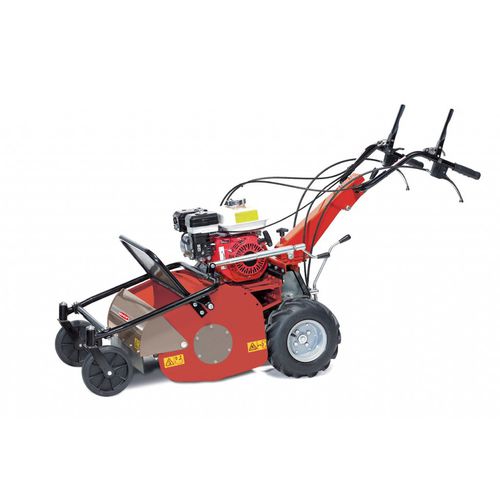 Handgeführter Rasenmäher IB 562 IBEA Benzin / für große Flächen