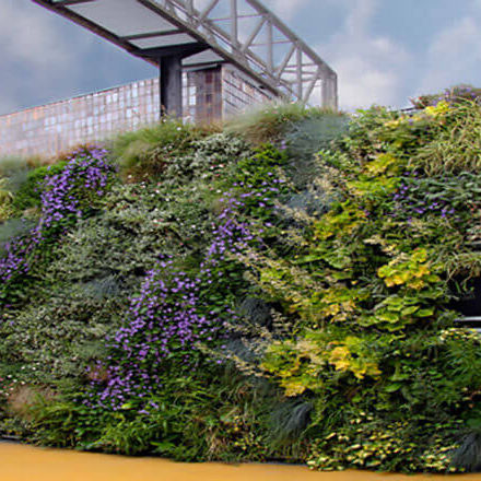 Stabilisierte Wandbegrünung - AG GUIMUR-FACTORY VITORIA - AIR GARDEN - natürlich / dichtes Blattwerk / für Außenbereich