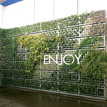 Stabilisierte Wandbegrünung - AG EN CRECIMIENTO - AIR GARDEN - natürlich / für den Innenraum