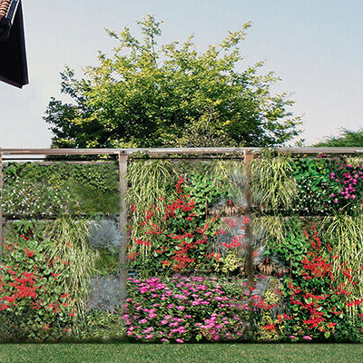 Stabilisierte Wandbegrünung - AG3 POSTDIV-BARCELONA - AIR GARDEN - natürlich / Blumen / für Garten