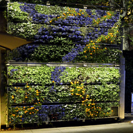 Stabilisierte Wandbegrünung - AG GUIMUR-REINA SOFIA - AIR GARDEN - Blumen / für Garten