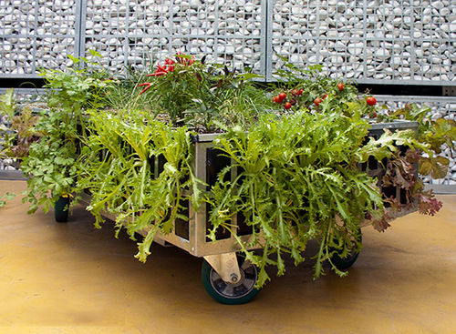 Metall-Pflanzkübel - AG ECO HUERTOS - AIR GARDEN - rechteckig / auf Rollen / modern