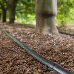 Bewässerungsschlauch - D2000 DRIP LINE - Rivulis - Kunststoff / mit Tropfer / flach