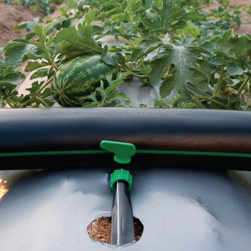 Bewässerungsschlauch - MAX-FLAT - Rivulis - Polyethylen / für Garten