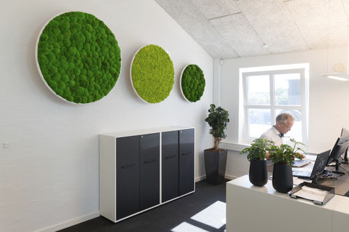 Stabilisierter Pflanzrahmen - Natural Greenwalls - Polster Moos / für den Innenraum / modulare Platte