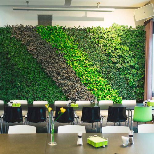 Stabilisierte Wandbegrünung - LIF - Natural Greenwalls - lebende Pflanzen / natürlich / für den Innenraum