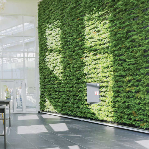 Stabilisierte Wandbegrünung - Natural Greenwalls - lebende Pflanzen / modulare Platte / natürlich