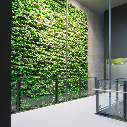 Stabilisierte Wandbegrünung - UNIVERSITY - Natural Greenwalls - lebende Pflanzen / dichtes Blattwerk / für den Innenraum