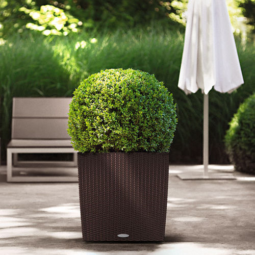Kunststoff-Pflanzkübel - COTTAGE - Gover Horticulture LLC - in Würfelform / modern / für öffentliche Bereiche