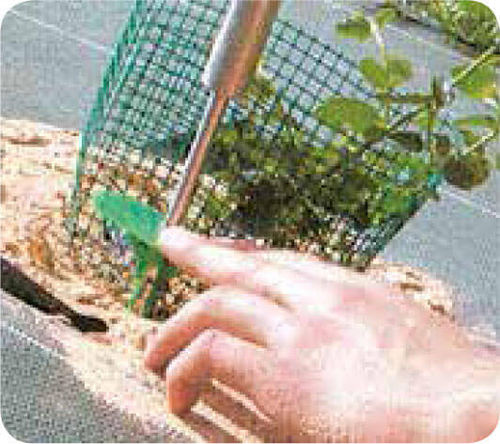 Klammer Klammer zur Strohabdeckung / Kunststoff - APV 20 - TOLTEX - biologisch abbaubar