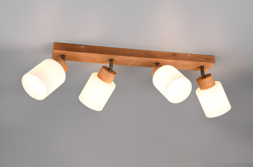 Moderne Deckenlampe -  ASSAM - TRIO Leuchten GmbH - rund / rechteckig / Glas