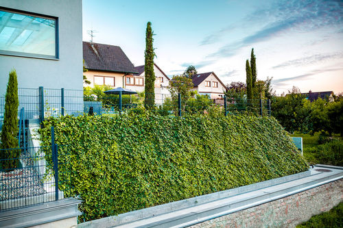Gitter für Boden - SOIL STABILIZATION - hedera screens