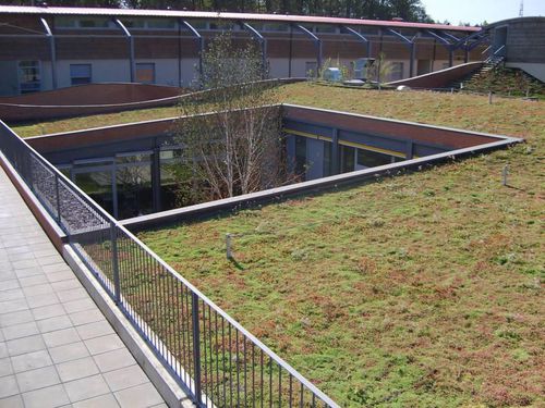 Extensives Gründach - SEDUM ROOFS - hedera screens - für Flachdach / wasserdicht