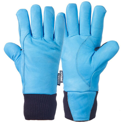 Handschuh - CRIOBC - Rostaing