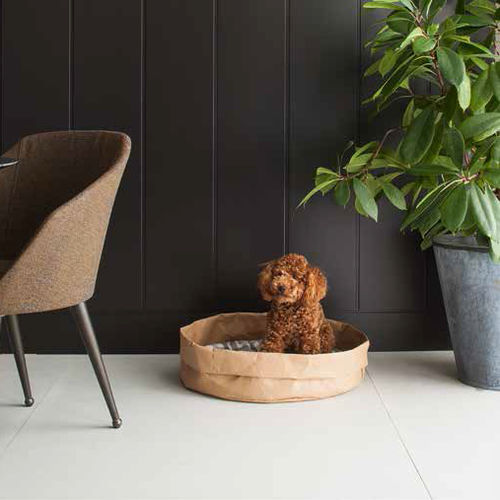 Zellulosefaser-Hundekorb - TOMMY - Limac Design® - mit abnehmbarem Kissen / maschinenwaschbar