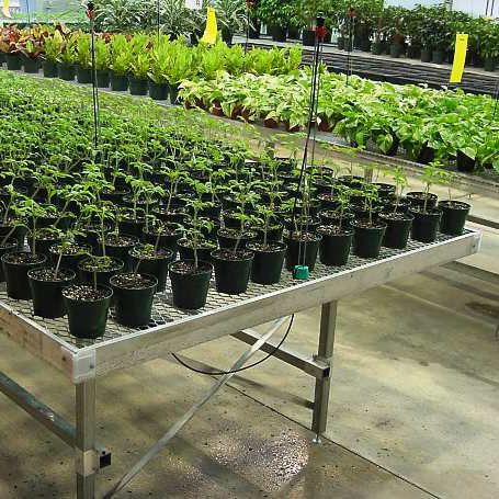 Pflanztisch - Ludy Greenhouse Manufacturing Corporation
