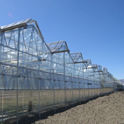 Gewächshaus für Gewerbegebrauch - DUAL ATRIUM - Nexus Corporation - für Produktionszwecke / mehrkuppelig / Aluminiumstruktur