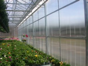 Polycarbonat-Wandverkleidung - Nexus Corporation - Acryl / für Gewerbegebrauch