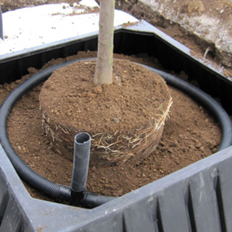 Wurzelsperre für öffentliche Bereiche - ROOTDIRECTOR - GreenBlue Urban Ltd - steif