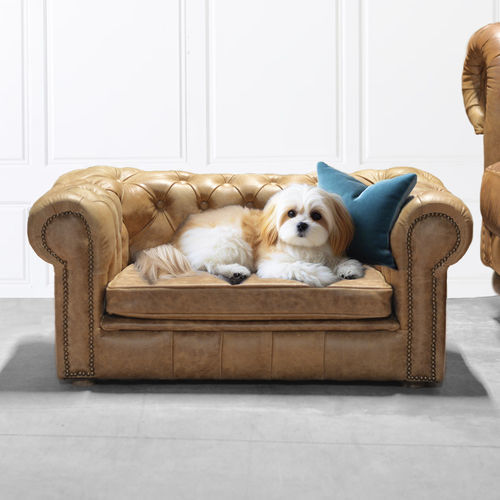 Leder-Hundesofa - Harleq - weiß / blau / gold