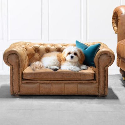 Holzhundesofa - ANIMALI - Harleq - beige / beweglich / handgefertigt