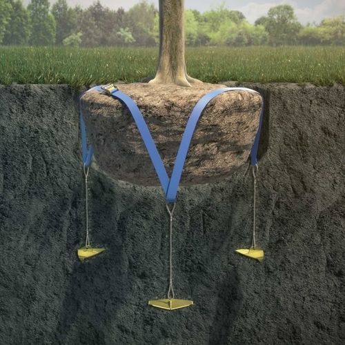 Verankerungssystem für Bäume / mit Kabel - Ancrest - mit Riemen / für Untergrund