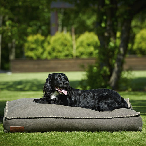 Kissen für Haustiere (Hund und Katze) - DOGIT LARGE - SACKit - Außen / rechteckig / einfarbig