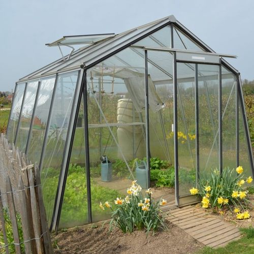 Gewächshaus für Hobbygärten - S104H - ACD - einkuppelig / Aluminiumstruktur / Glas