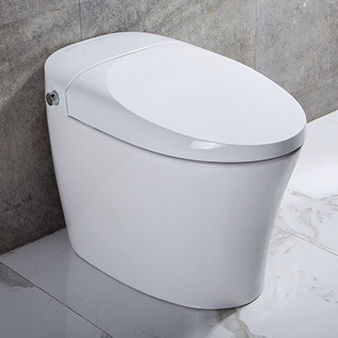 Washlet®-WC - TA-822ZA - Zhejiang Tejieer intelligent sanitary ware co.ltd - freistehend / Keramik / für Gewerbegebrauch