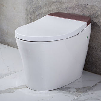 Smartes WC - TA-823ZA - Zhejiang Tejieer intelligent sanitary ware co.ltd - freistehend / Keramik / für Gewerbegebrauch