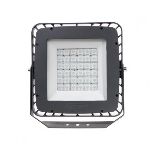 IP67-Scheinwerfer - BAHAM - BLACK LIGHT ELEKTRONIK - LED / Industrie / für öffentliche Einrichtungen