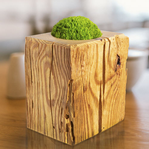Moderne Vase - TOUCH ME Moss HEDGEHOG - MOOS MOOS MANUFAKTUR - Holz / handgefertigt