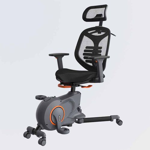 Heimtrainer für den Innenraum - F216DBU - Loctek Ergonomic Technology Corp. - für Gewerbegebrauch / für Privatgebrauch