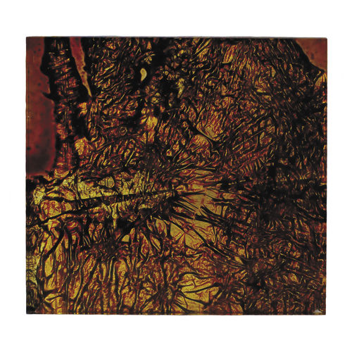 Acryl-Dekorplatte - SPLIT LARGE - Duco - für Innenausbau / wandmontiert / für Tür
