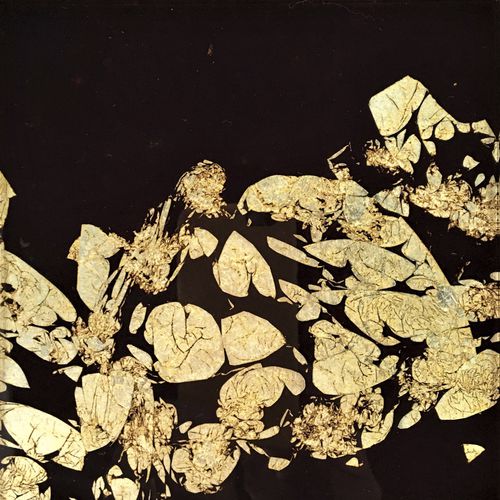 Acryl-Dekorplatte - FLOATING PETALS - Duco - für Tür / wandmontiert / für Innenausbau