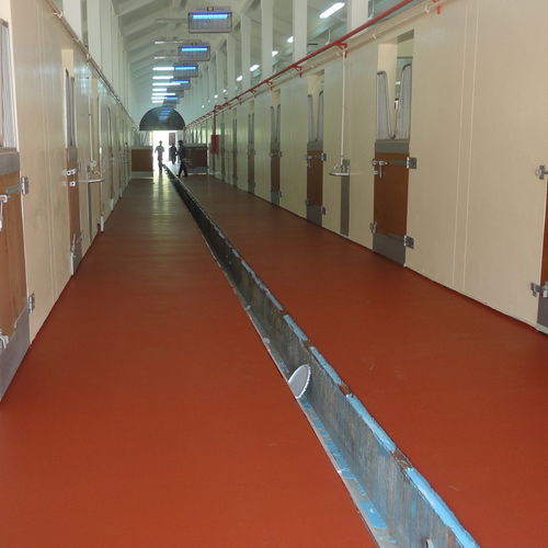 Glättputz - POLYSPORT 1053 - KDF - Sports Flooring Production - wasserdicht / zur Endbearbeitung / für Fitnessstudio