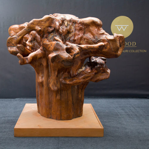 Holzskulptur - Treebeard - Icewood - freistehend / Natur / modern