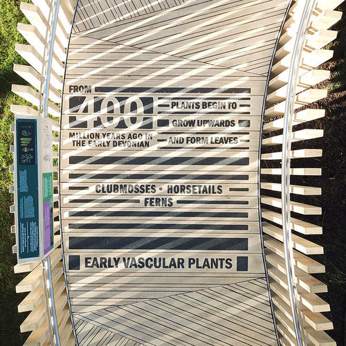 Holz-Terrassendiele - GRIPSURE GRAPHICS - Gripsure SAS - Holzoptik / rutschfest / für Gewerbegebrauch