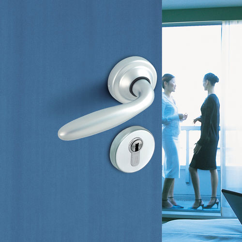 Türgriff - Opéra - Vachette - Fenster / Zamak / modern