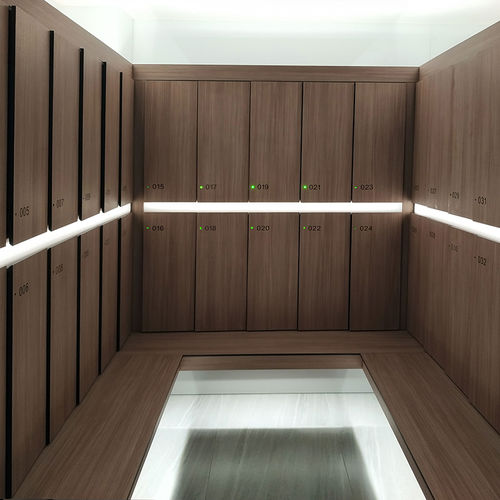 HPL-Staufach - DEBO F12 Smart Locker - DEBO - mit Schlüssel / für Gewerbegebrauch / für öffentliche Einrichtungen