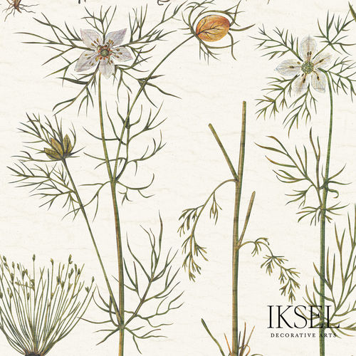 Moderne Tapete - RW417 Herbier - Iksel Decorative Arts - Glasfaser / Vinyl / Naturmotiv