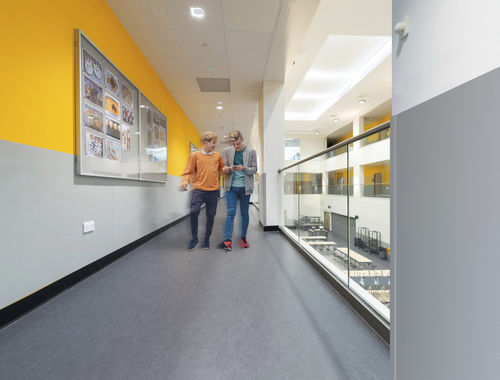 TPE-Wandschutz - ACROVYN PVC-FREE - CS Construction Specialties - Dekor / Folie