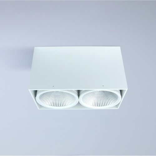 Downlight für Aufbau - RODES DUO - HB LUX LIGHTING - HB LUX TEKNOLOJI SAN VE TIC LTD - LED / rund / IP20